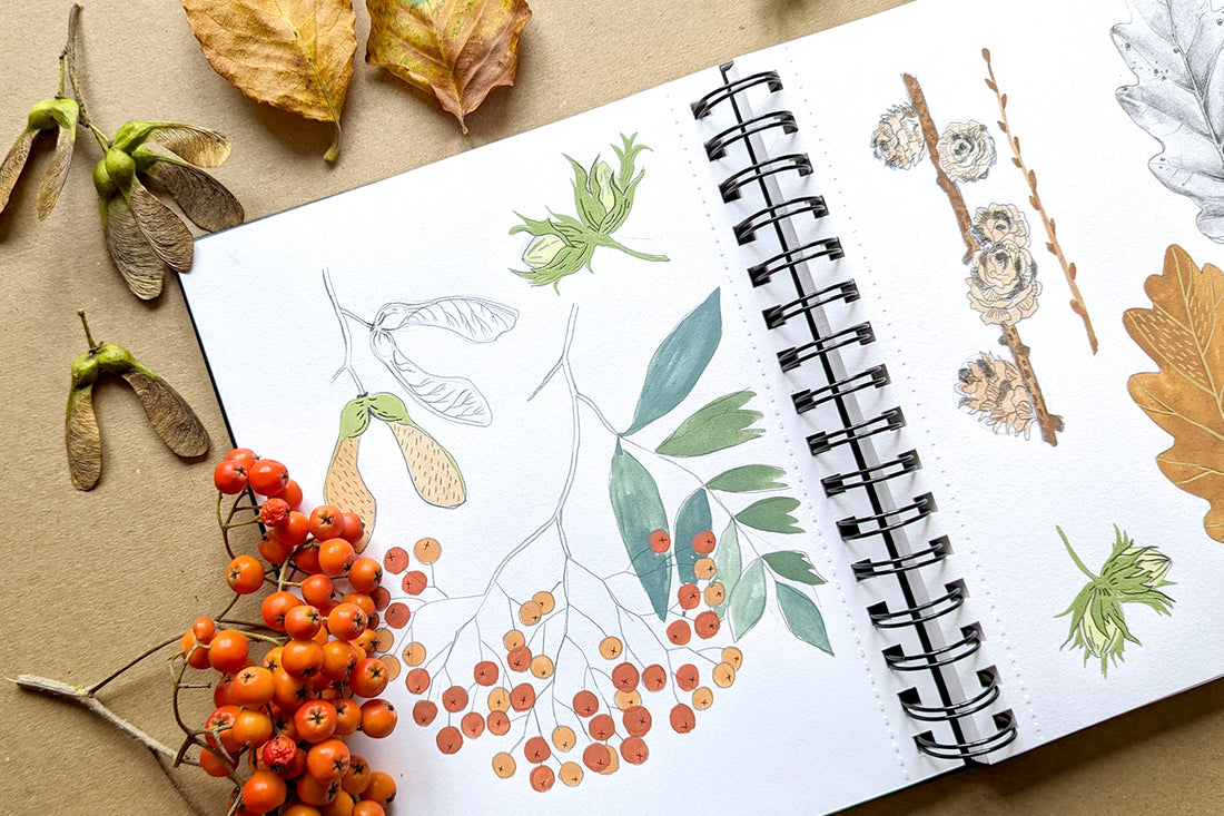 Explore Autumn in your Sketchbook - a guide for artists & creatives