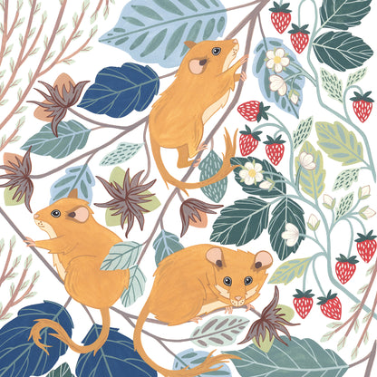 Hazel Dormice Art Print