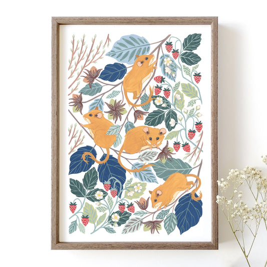 Hazel Dormice Art Print