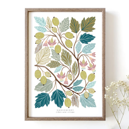 Gooseberry Art Print