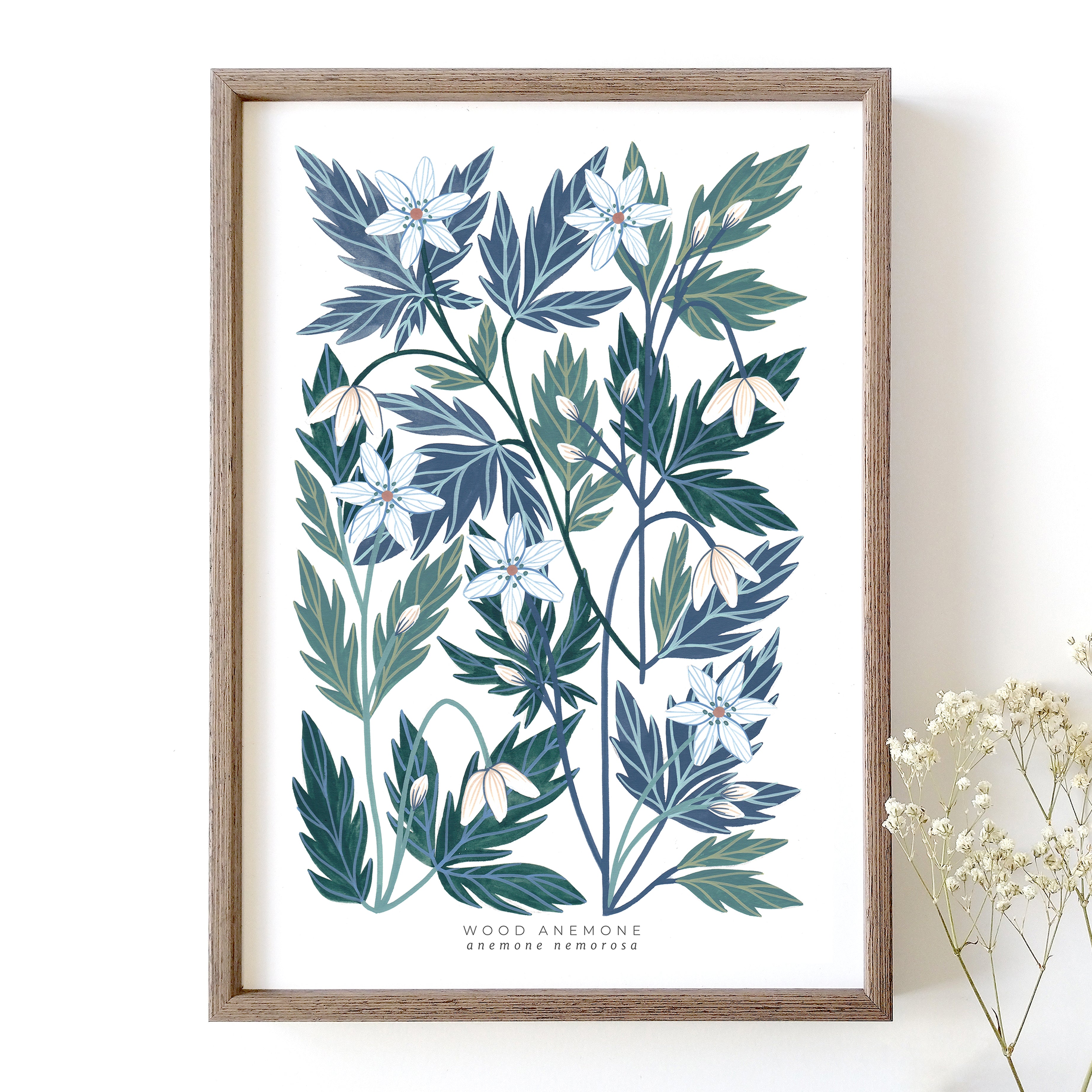 Wood Anemone Art Print – Claire Tuxworth Art